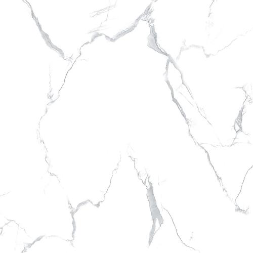 BL67118