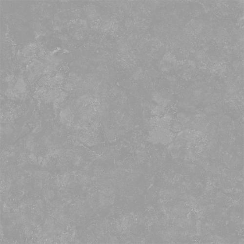 BL66236